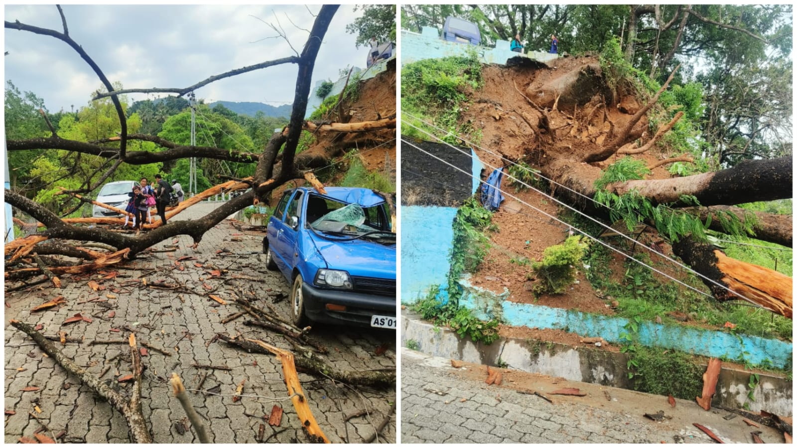 Rain and strong winds uproot tree in Tura, damage vehicles; IMD issues ...