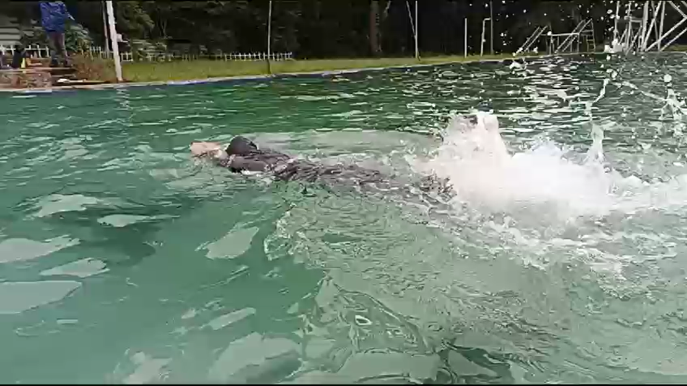 Himalaya Swimming Meet