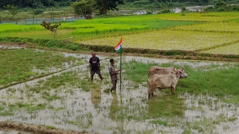 Naduh mynsiem iashimbynta ka Meghalaya ha ka ‘Har Ghar Tiranga’: BJP