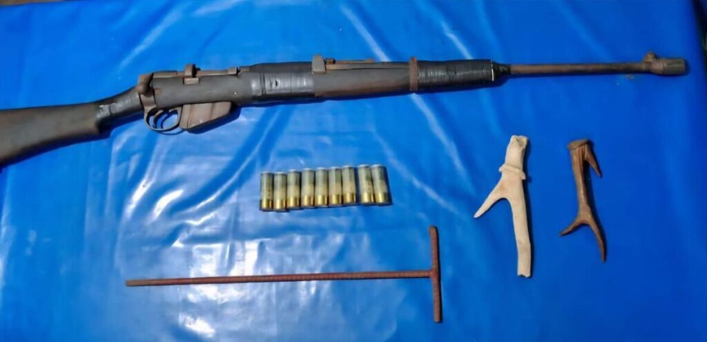 Rhino poaching bid foiled in Assam