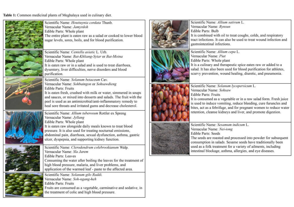 Ka jingwadbniah ba thymmai na Meghalaya kala shem ba katto katne ki jingthung kiba ju pyndon kam ha ki jhlur khleh, shatni bad ki dawai shna hi ha iing ki lah ban shim ia ka bynta kaba khraw ban pynduna ia ka Blood Pressure-kaba pynduna ia ka jinglut jingsep, bad ki jingbam kiba lah ban iakhun ia ka Hypertension, kawei na ki daw ba hakhmat eh halor ka jingiohpang Cardiovascular ha ka pyrthei.