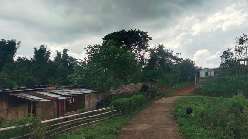 Ka Shyntor Festival sa tang katto katne sngi kan sa sdang noh ha ka jaka kaba itynnad ha ka shnong Shyntor Bulia. Hynrei ym ju kham iohsngew ba kumno la pynwandur ia kane ka tamasa lane ka jingdonkam ia ka haba ki don bun ki tamasa kiba la pynlong ha kylleng ka Jylla. Hato kane ka tamasa ka dei kaba shu pynlong tang kum ka tamasa ban lehkmen hapdeng kiwei pat ki tamasa ki tamasa kiba la sakhi hapoh ka jylla, khamtam ha ka por tlang, ne ka dei kaei kaei kaba kham phylla, kaba iapher khyndiat bad da ka jingthmu ban pyni ia ki mat ki ba donkam ban phaikhmat.