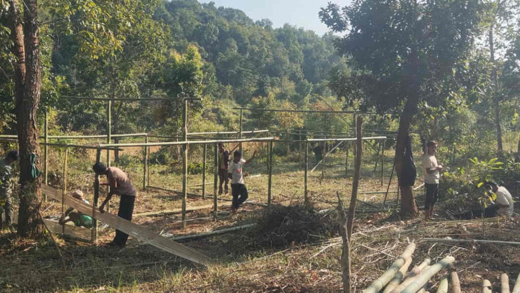 Ka Shyntor Festival sa tang katto katne sngi kan sa sdang noh ha ka jaka kaba itynnad ha ka shnong Shyntor Bulia. Hynrei ym ju kham iohsngew ba kumno la pynwandur ia kane ka tamasa lane ka jingdonkam ia ka haba ki don bun ki tamasa kiba la pynlong ha kylleng ka Jylla. Hato kane ka tamasa ka dei kaba shu pynlong tang kum ka tamasa ban lehkmen hapdeng kiwei pat ki tamasa ki tamasa kiba la sakhi hapoh ka jylla, khamtam ha ka por tlang, ne ka dei kaei kaei kaba kham phylla, kaba iapher khyndiat bad da ka jingthmu ban pyni ia ki mat ki ba donkam ban phaikhmat.