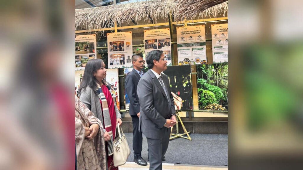 Wer u CM ban iashimbynta lang ban kyntiew ia ka kam rep khlem dawai